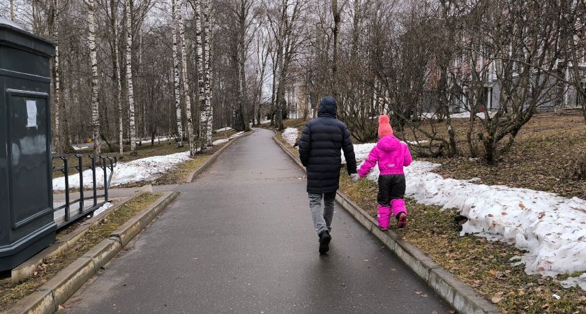 Весенние заморозки могут уничтожить урожай: как защитить растения Весенние заморозки могут уничтожить урожай: как защитить растения