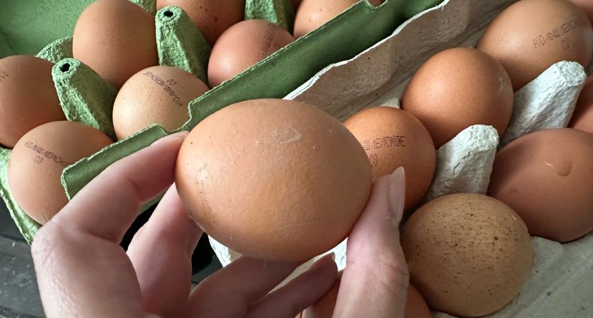 Как выбрать правильные яйца: развеиваем мифы и даём советы Как выбрать правильные яйца: развеиваем мифы и даём советы