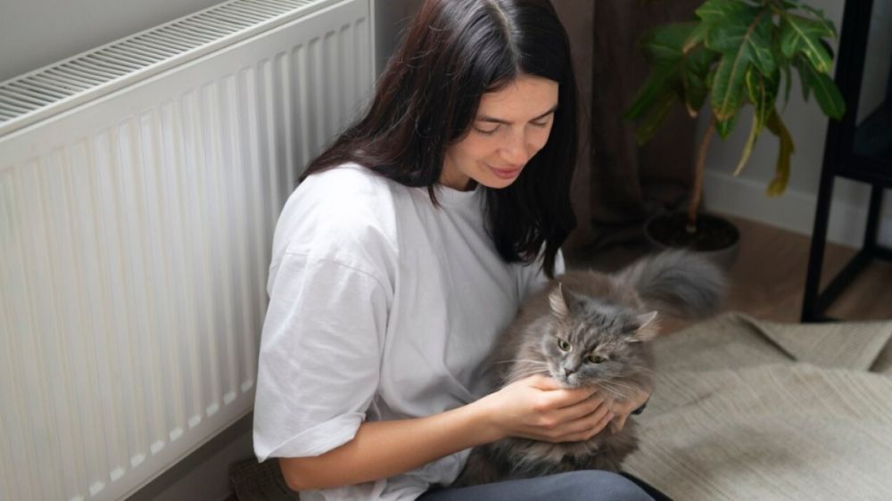 Тайная жизнь кота: что происходит, когда вы уходите из дома Тайная жизнь кота: что происходит, когда вы уходите из дома