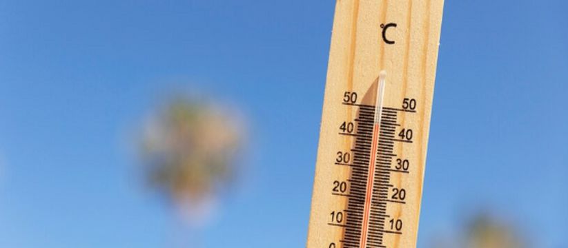 Лето-2023: экстремальные температуры и непредсказуемая погода в России Лето-2023: экстремальные температуры и непредсказуемая погода в России