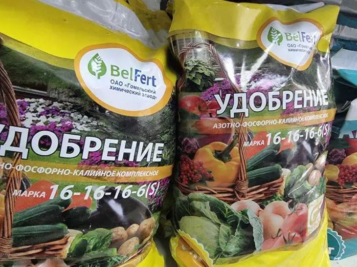 Как понять, что ваши комнатные растения переедают? 5 признаков избытка удобрений Как понять, что ваши комнатные растения переедают? 5 признаков избытка удобрений