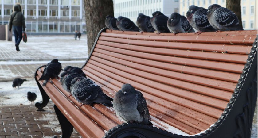 Июньский сюрприз: аномальный холод и снег в начале лета Июньский сюрприз: аномальный холод и снег в начале лета