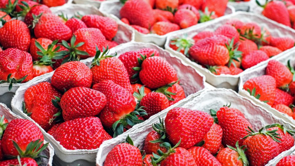 Простой секрет, который продлевает жизнь вашей клубнике Простой секрет, который продлевает жизнь вашей клубнике