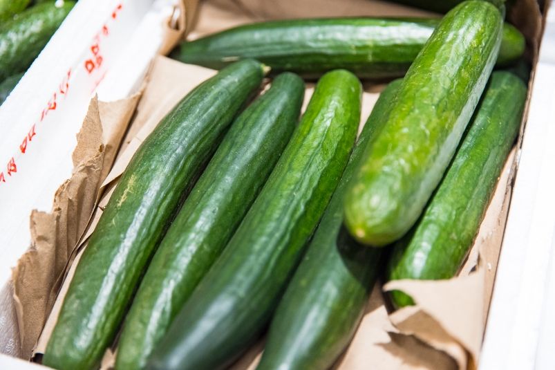 Секрет июньского урожая: как увеличить количество огурцов с куста Секрет июньского урожая: как увеличить количество огурцов с куста