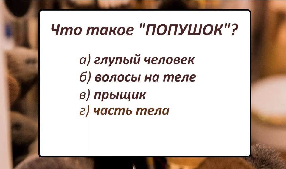 Попушок: загадочное слово из русского языка Попушок: загадочное слово из русского языка