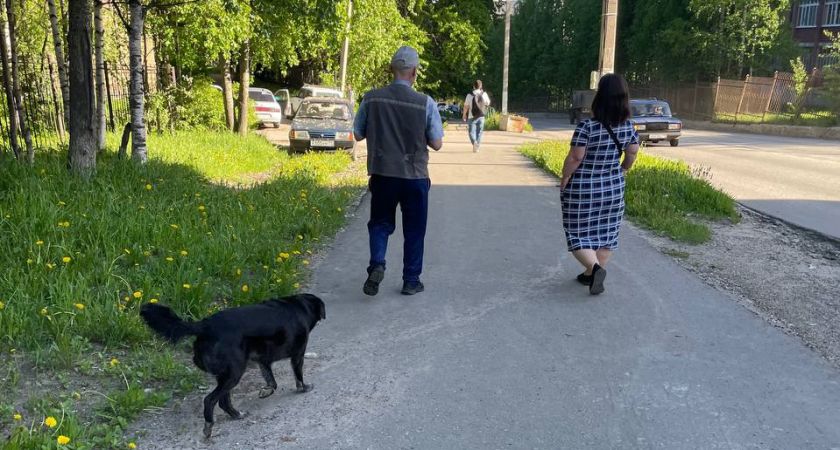 Как увеличить пенсию на 4500 рублей: действенный способ Как увеличить пенсию на 4500 рублей: действенный способ