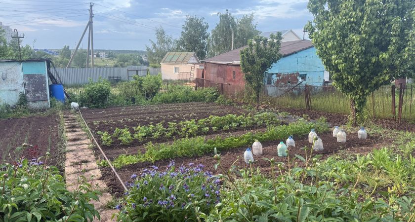 Как вернуть тишину на даче, когда соседи устраивают шумные выходные Как вернуть тишину на даче, когда соседи устраивают шумные выходные