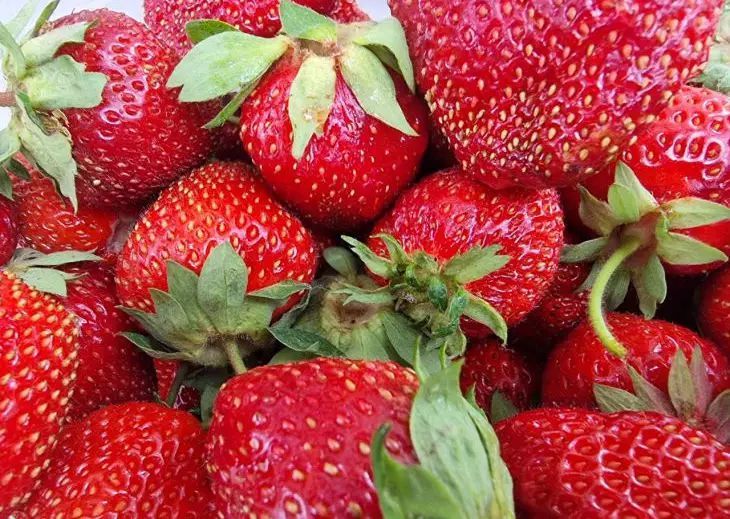 Секреты богатого урожая клубники: как не допустить ошибок при подготовке грядки
