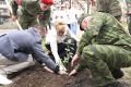 Подсветив историю: в Биробиджане высадили легендарный Тополь Победы