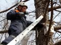 Спасатели МЧС делают добро: скворечники для пернатых в детском лагере