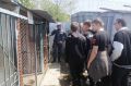 Кинологи и их четвероногие напарники вдохновили школьников п. Бира на будущее