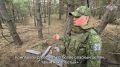 Как просто и эффективно бороться с вражескими беспилотниками: секреты Маэстро