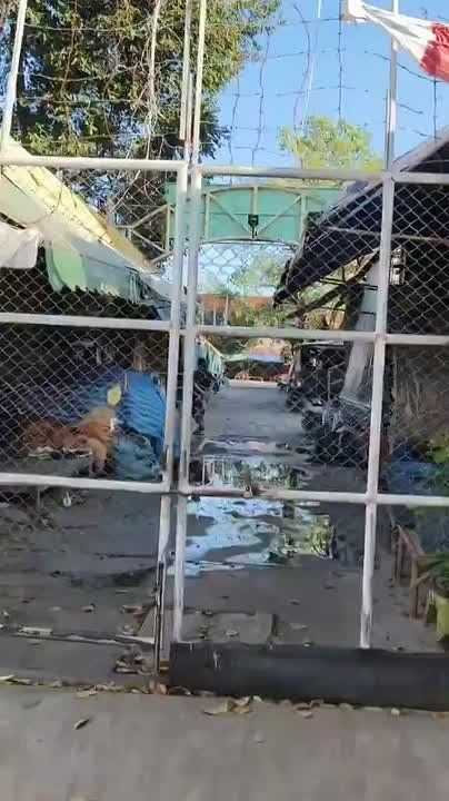 Китайцы и американцы едут в бой