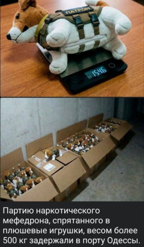 Николай Стариков: Надо срочно начинать операцию по борьбе с наркокартелями!